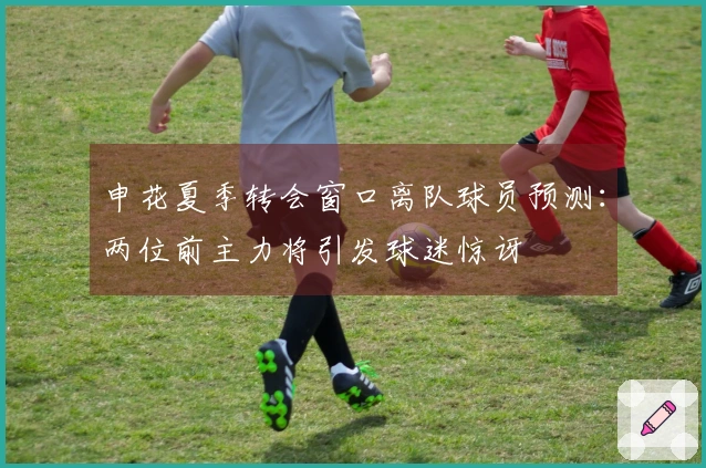 申花夏季转会窗口离队球员预测：两位前主力将引发球迷惊讶